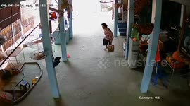 Horror moment territorial pet dog attacks grandmother, 71, cleaning its dog bowl