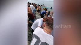 Excited locals collect large fish washed up on beach