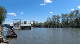 Spring Sunshine on the Fraser River in Langley, Canada