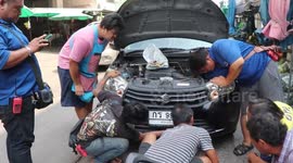 Market vendors save stray kitten trapped in car bumper