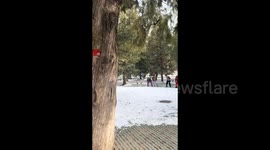 China: Astonishing ring toss mastery in Beijing Park