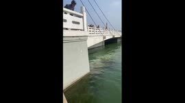 Pensioner, 64, rescues girl struggling to stay afloat in river