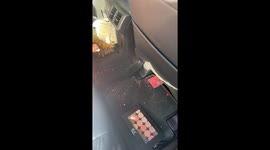 Makeup mishap: Boy's back seat adventure leaves a colorful mess