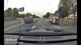 China: Driver alerts truck operator after pig falls from moving vehicle in Anhui