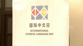 Int'l Chinese Language Day celebrated in Zagreb school