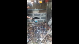 Huge python stuck in pipe rescued with a hammer by residents