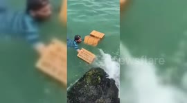 Palestinians swim into ocean to gather airdropped aid