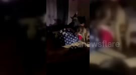 Palestine: Israeli forces unleashed a canine at a Palestinian during an arrest