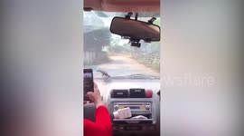 Gecko clings onto car windshield while woman drives