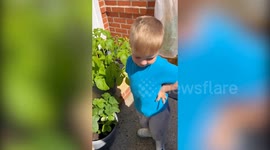 Five-year-old boy starts successful plant stall with seeds he grew all by himself