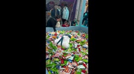 Snack-grabbing frenzy: hilarious video emerges from Anhui Mall