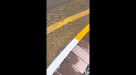 Dubai flooded: aftermath of worst rainstorm