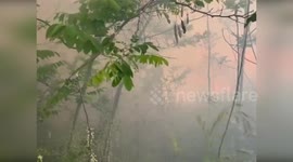 Italy: Firefighters Battle Intense Blaze at Illegal Dumpsite on Via Collatina Vecchia