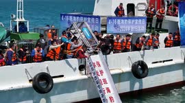 10 spotted seals released into ocean off NE China's Dalian