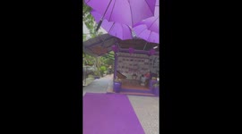 The cafe is decorated entirely in purple in Vietnam