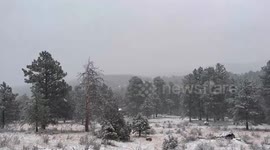 US: Overnight Spring Snowstorm Hits Denver Metropolitan Area