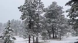 US: Overnight Spring Snowstorm Hits Denver Metropolitan Area 2