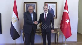 Turkish, Egyptian FMs call for action to end crises in Middle East