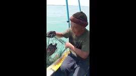 Fisherman releases baby sea turtle tangled in ghost net