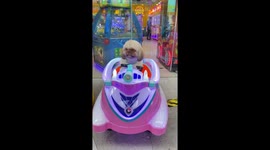 Pet Shih Tzu sits in kiddie toy car ride