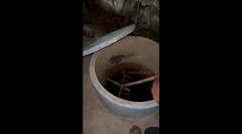 Crying cat rescued from the bottom of well