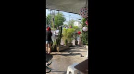 Snake emerges on street during waterfight