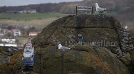 Welcome to 'Gnome Island' - remote outcrop covered with garden ornaments