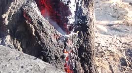 Mongolia warns of high risk of wildfires