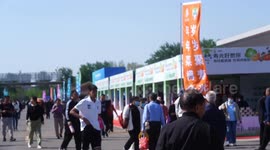 Int'l vegetable sci-tech expo underway in China's Shouguang