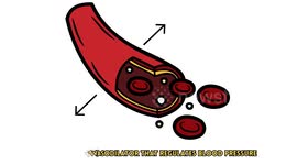 Boost Your Nitric Oxide Levels With These Foods |Foods To Boost Nitric Oxide