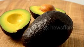 Did You Know These Things About Avocado? Amazing Health Benefits Of Avocado