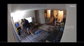 Dog forces owner to sit down after playfully nipping their leg