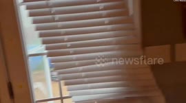 Dramatic footage shows giant hail the size of golf balls battering South Carolina