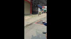 Pet dog seen chilling on bicycle