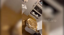Woman left with 30K bill and uninhabitable house after sewage overflows from loo