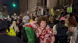 USA: Palestine supporters hold a rally in Manhattan, New York