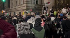 USA: Crowds of people at the rally for Palestine in New York