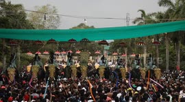 India's Largest Temple Festival with over 100 Elephants Participation