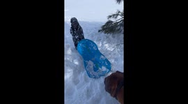 Dog Rides a Sled Downhill