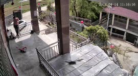 Shocking moment little boy is bitten by snake in China