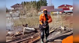 Chickens rescued from floods in Russia