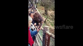 Elderly Chinese man bitten on face by agitated monkey after inappropriate touch by woman in southern China