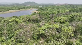 Migratory birds enter peak hatching period at Poyang Lake in China