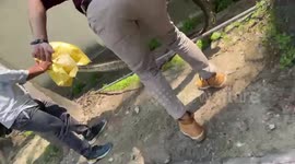 Massive python caught from outside telephone office in northern India