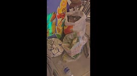 Player has sacks of tokens while playing fish arcade game