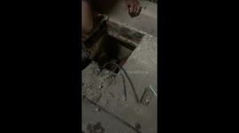 Whimpering kitten pulled alive from sewer in Thailand
