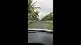 Car Stopped By Flood of Migrating Ducks