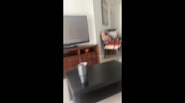 Bird Plays Hide and Seek
