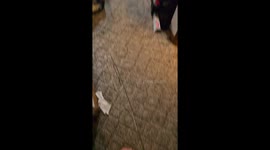 Dog Runs Away With Phone