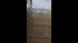Weird Swirls In The Water